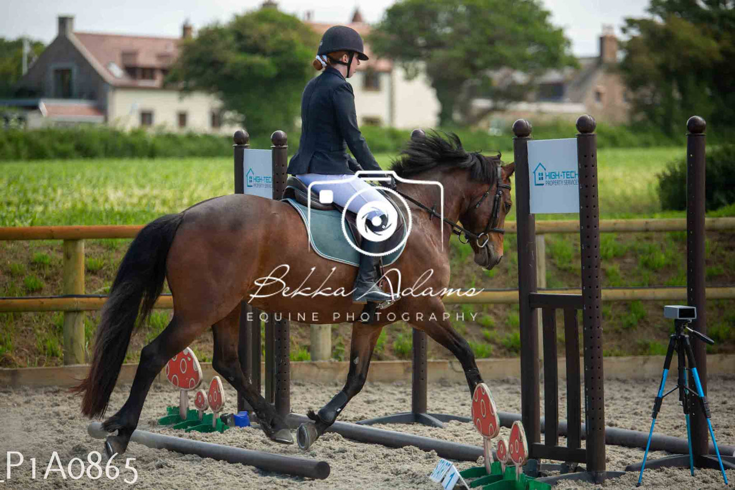 Home Farm Jumping 11th June - Seniors