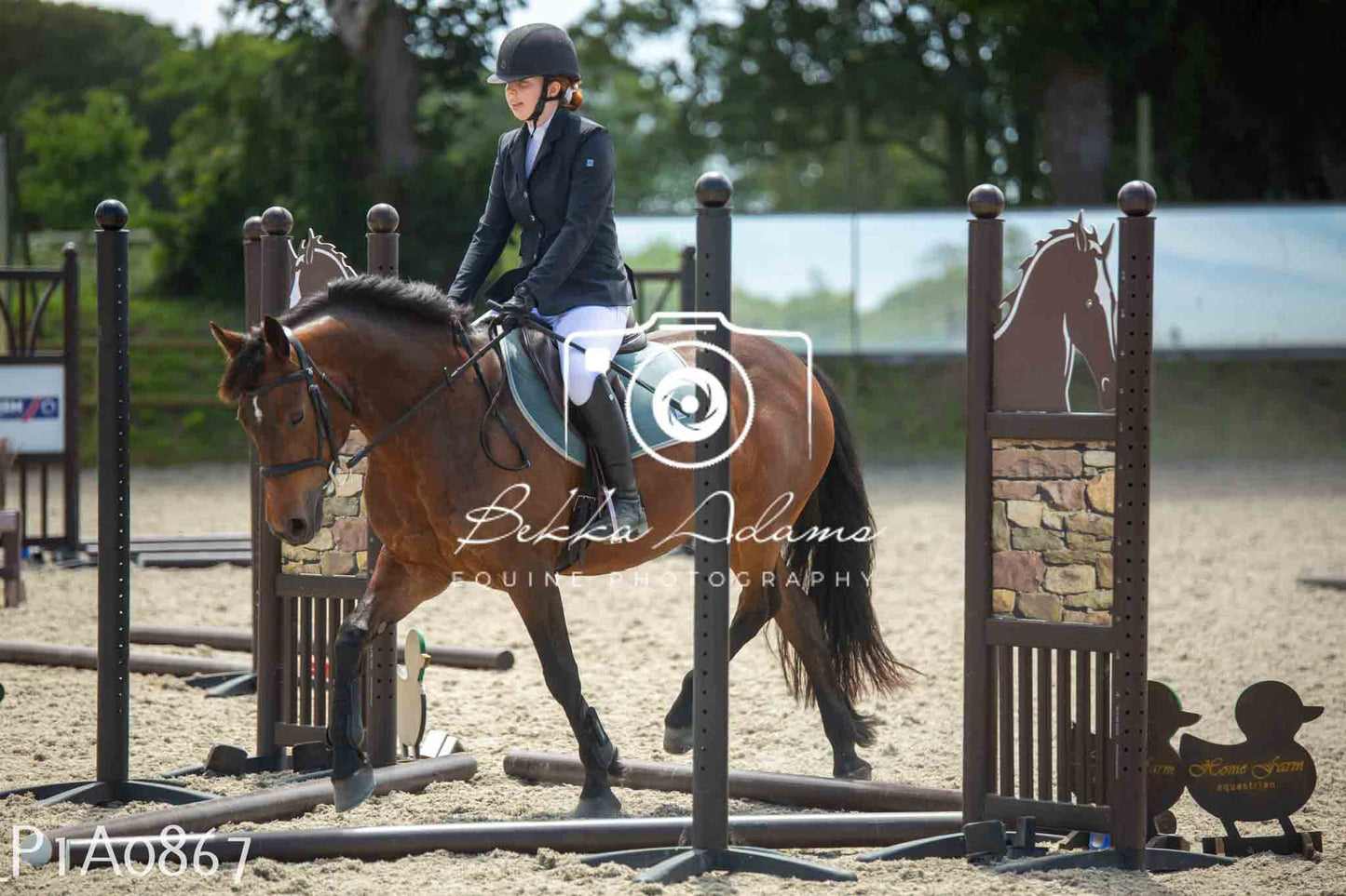 Home Farm Jumping 11th June - Seniors