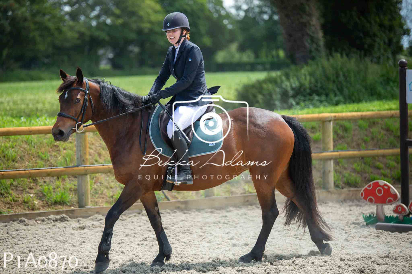 Home Farm Jumping 11th June - Seniors