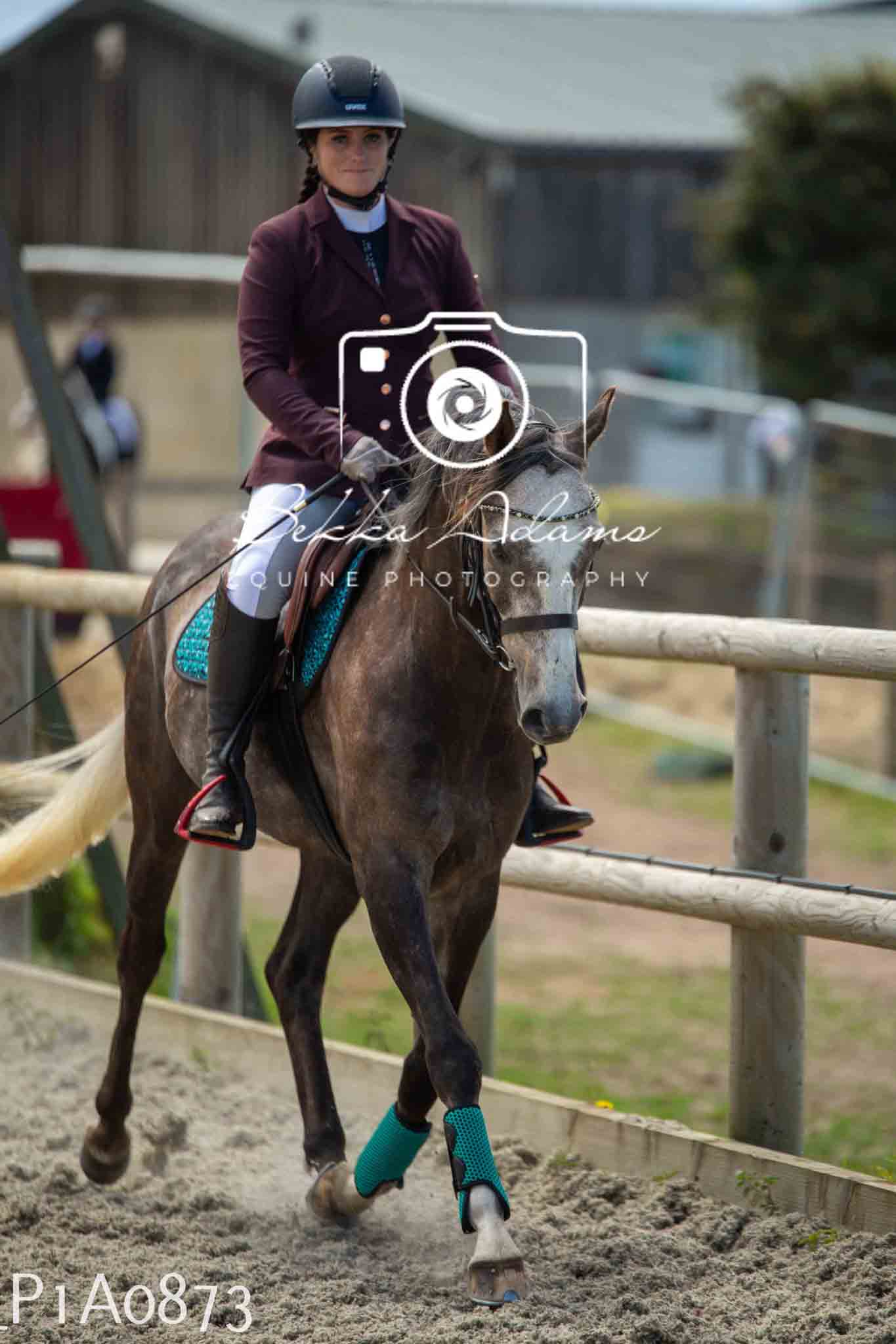 Home Farm Jumping 11th June - Seniors