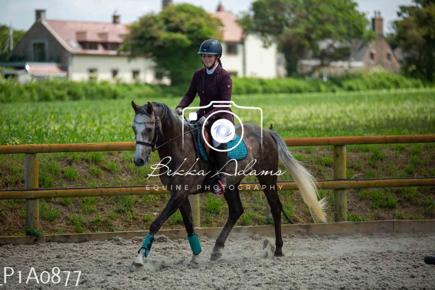 Home Farm Jumping 11th June - Seniors