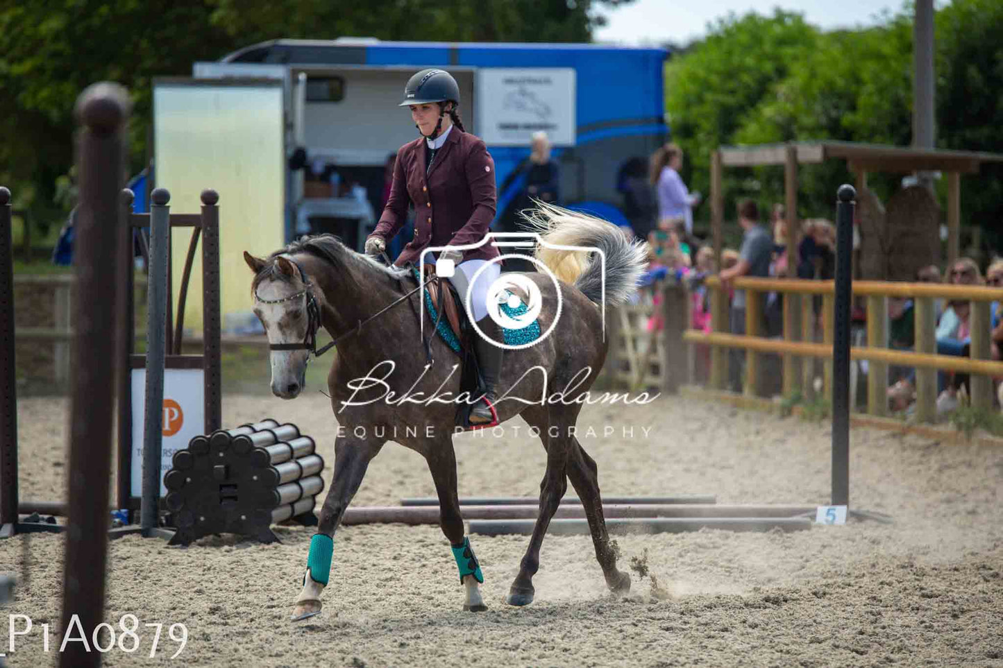 Home Farm Jumping 11th June - Seniors