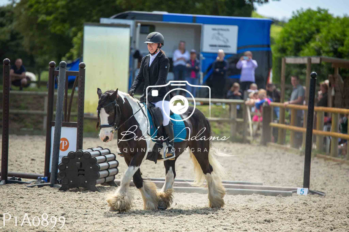 Home Farm Jumping 11th June - Seniors