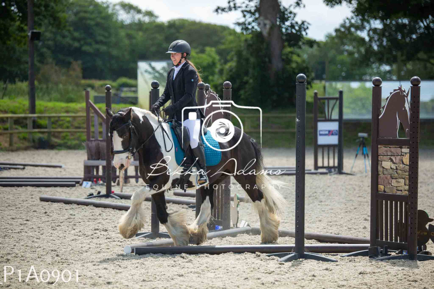 Home Farm Jumping 11th June - Seniors