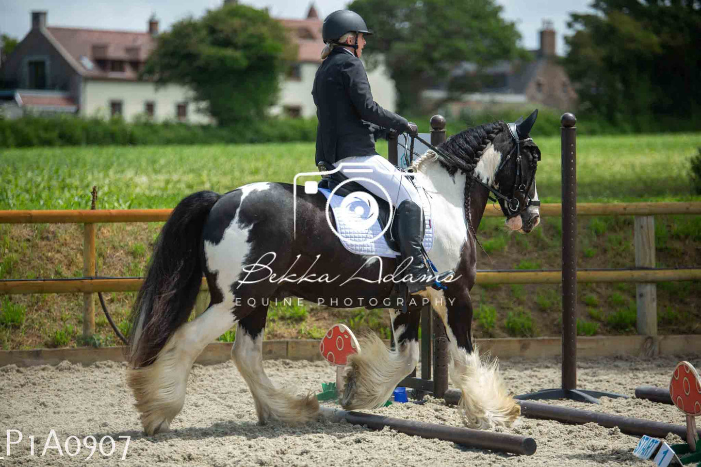 Home Farm Jumping 11th June - Seniors