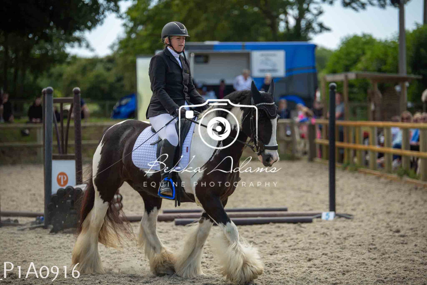 Home Farm Jumping 11th June - Seniors