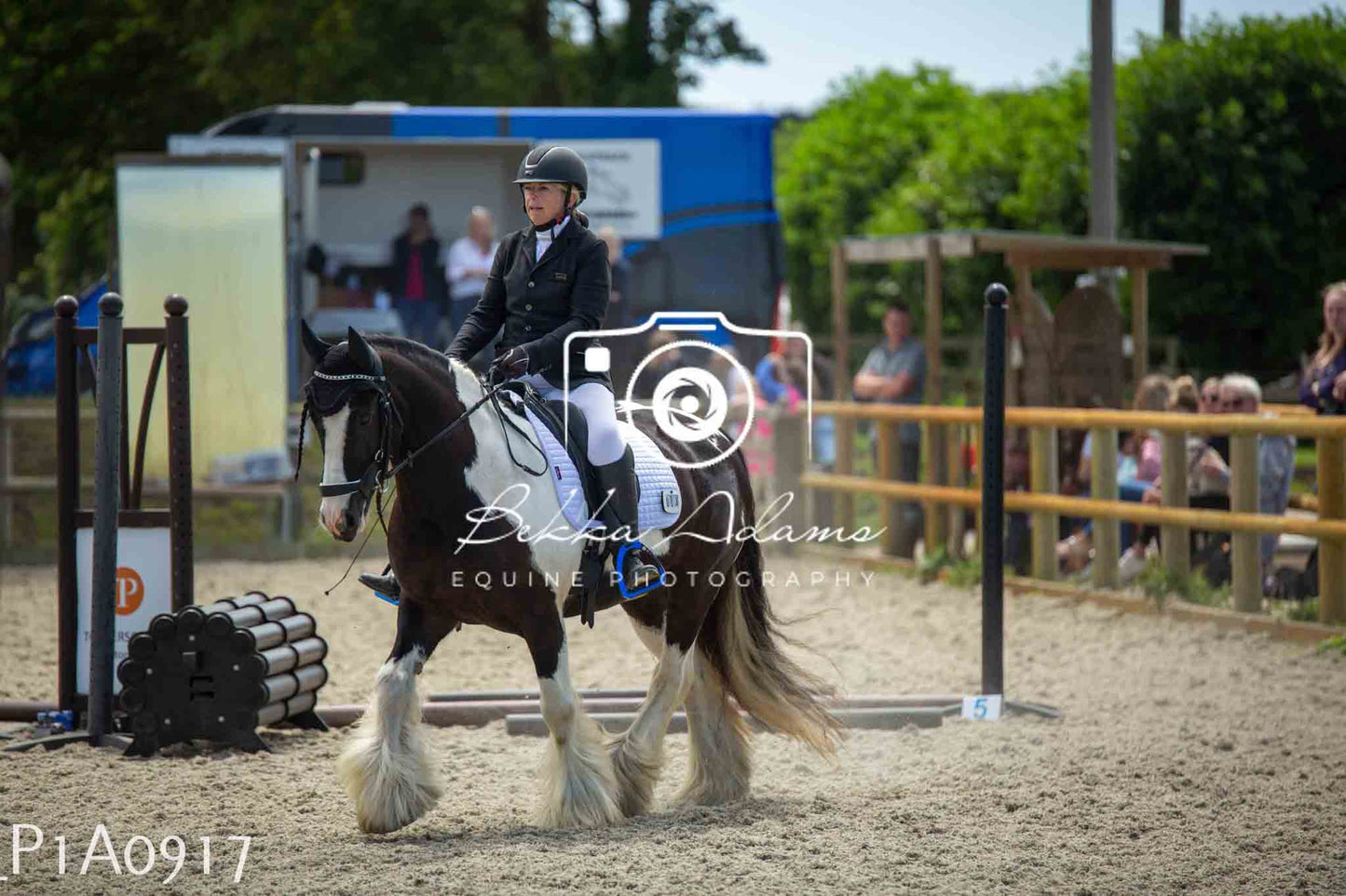 Home Farm Jumping 11th June - Seniors