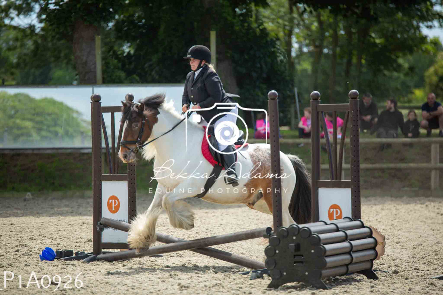 Home Farm Jumping 11th June - Seniors