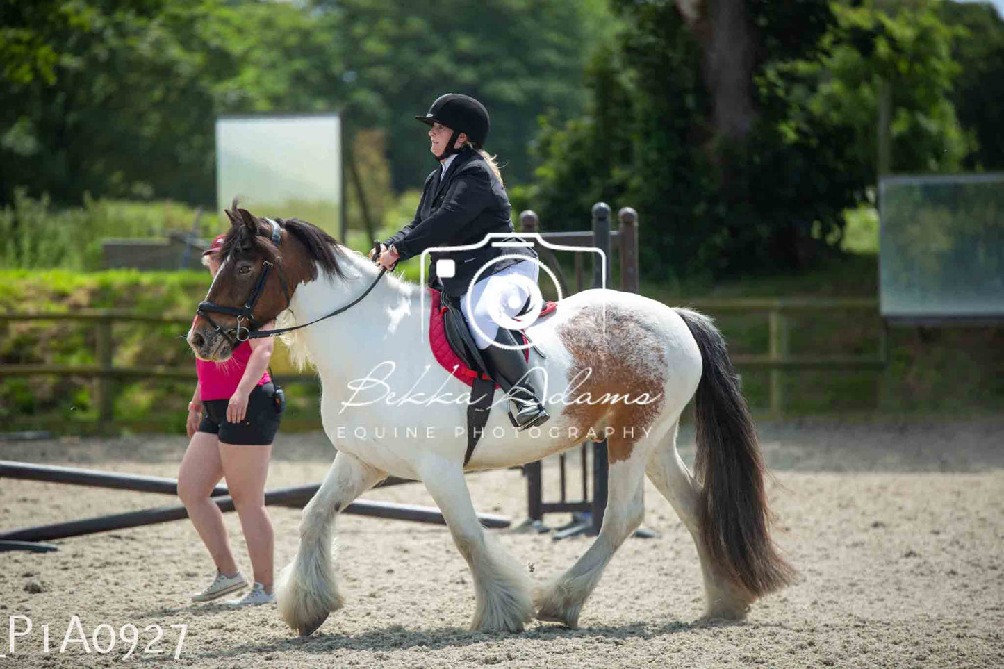 Home Farm Jumping 11th June - Seniors