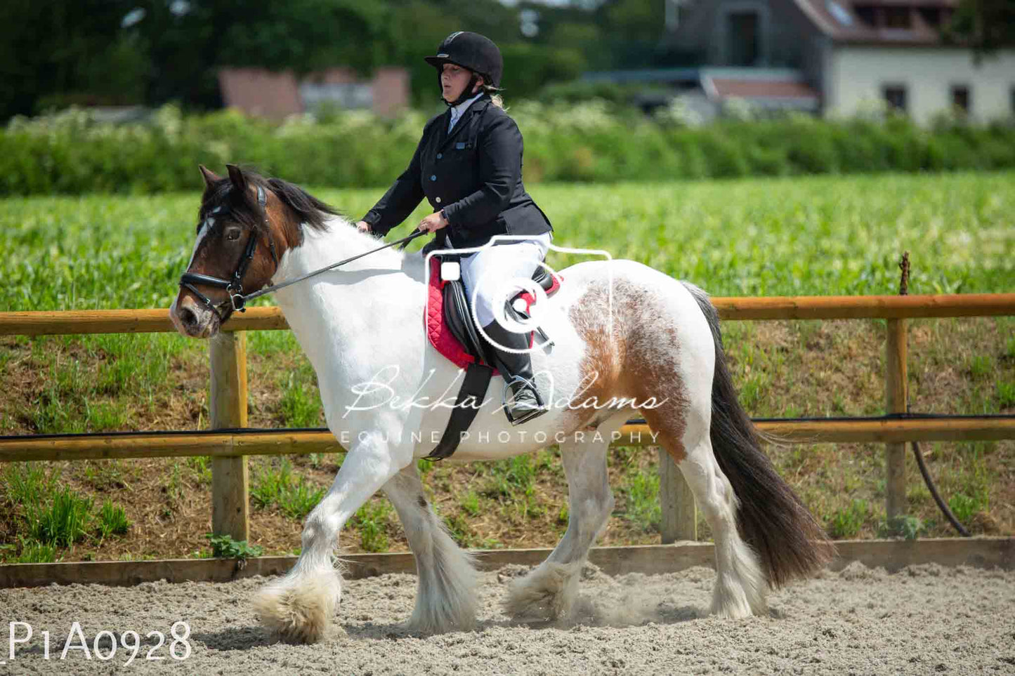 Home Farm Jumping 11th June - Seniors