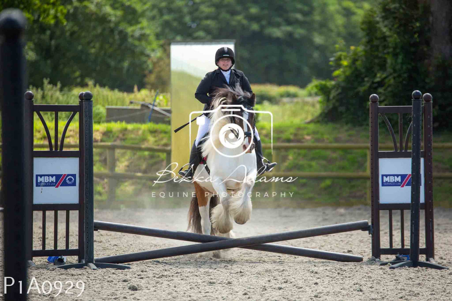 Home Farm Jumping 11th June - Seniors
