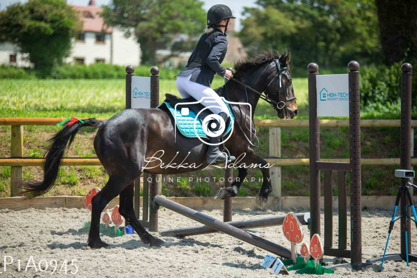 Home Farm Jumping 11th June - Seniors