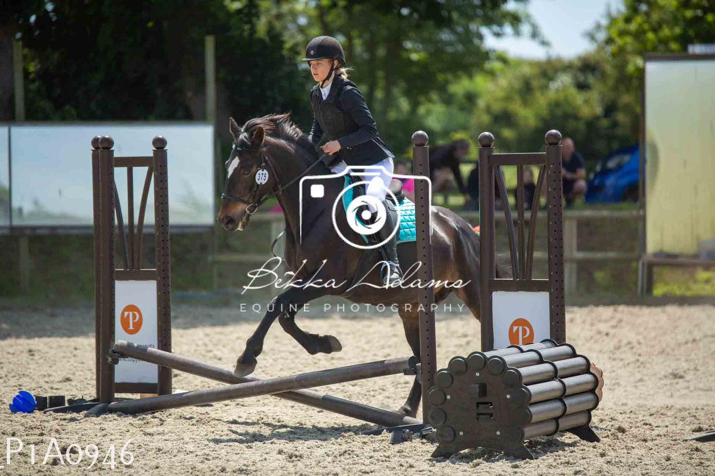 Home Farm Jumping 11th June - Seniors