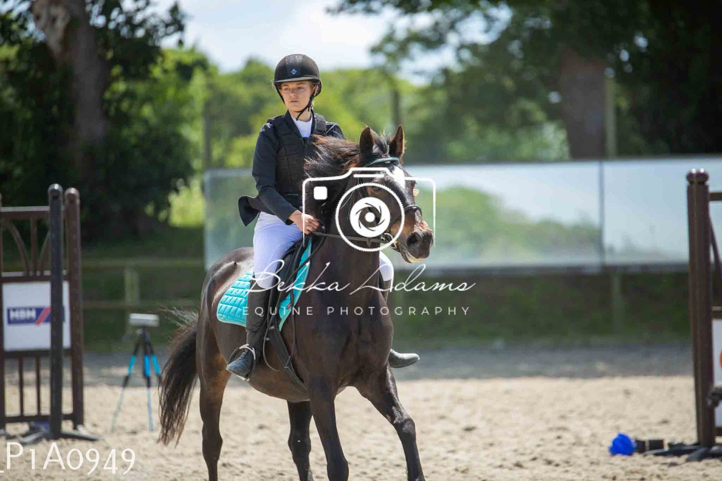 Home Farm Jumping 11th June - Seniors