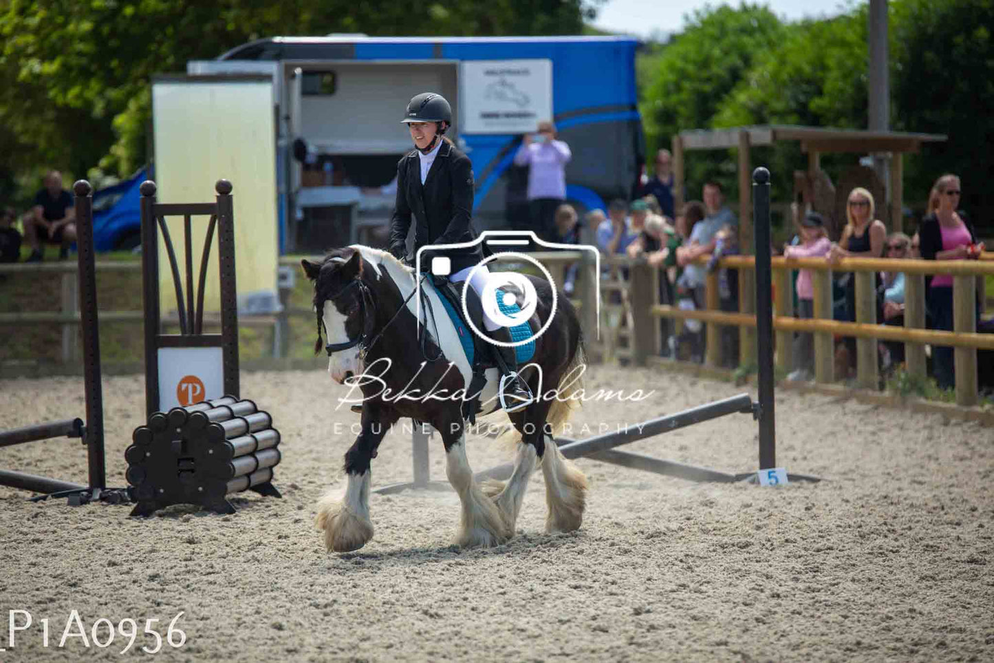 Home Farm Jumping 11th June - Seniors