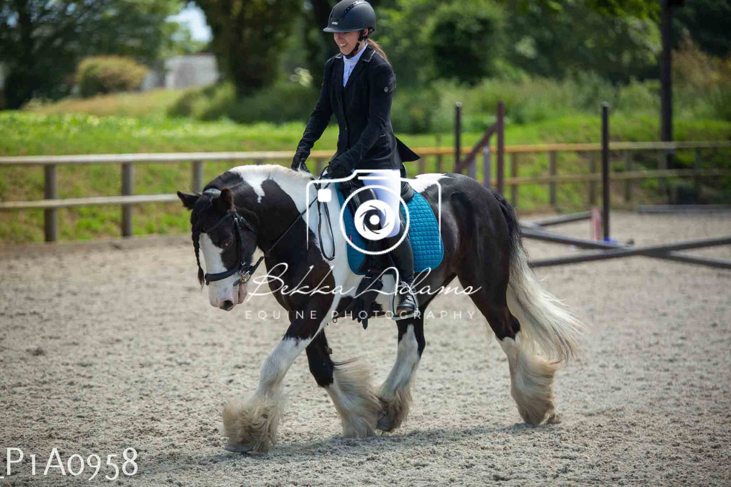 Home Farm Jumping 11th June - Seniors