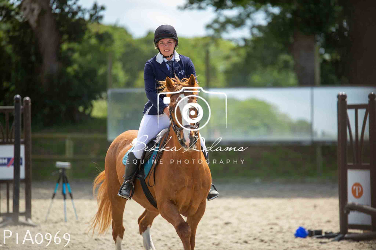 Home Farm Jumping 11th June - Seniors