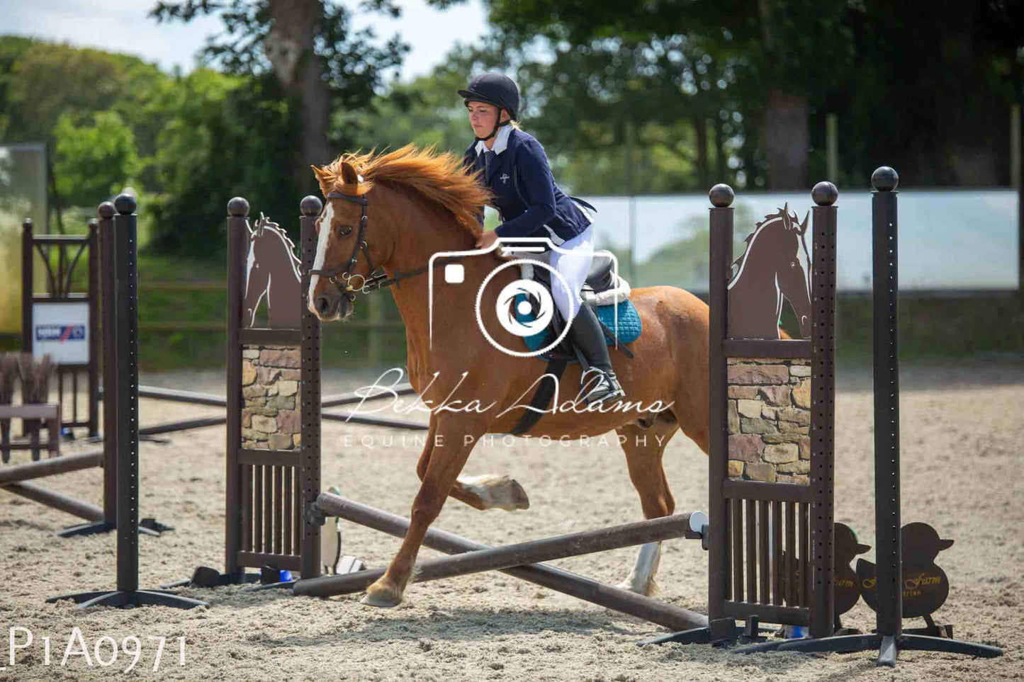 Home Farm Jumping 11th June - Seniors