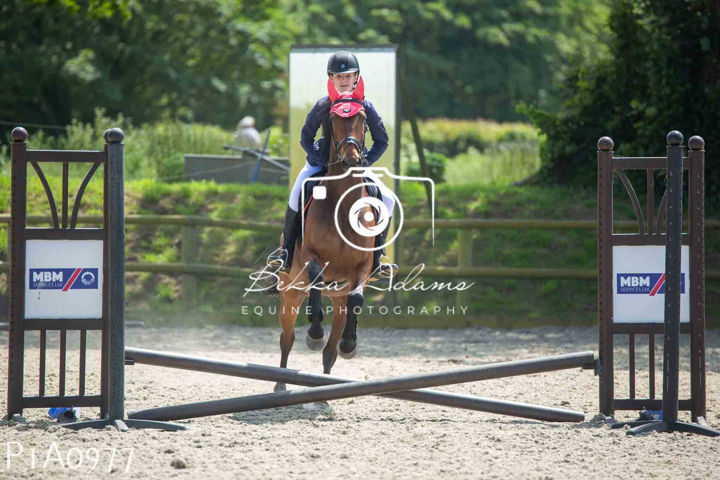 Home Farm Jumping 11th June - Seniors