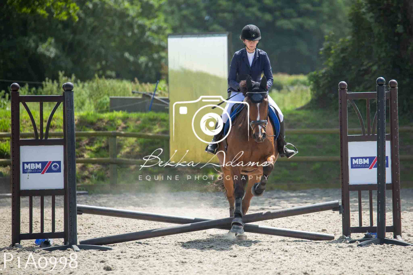 Home Farm Jumping 11th June - Seniors