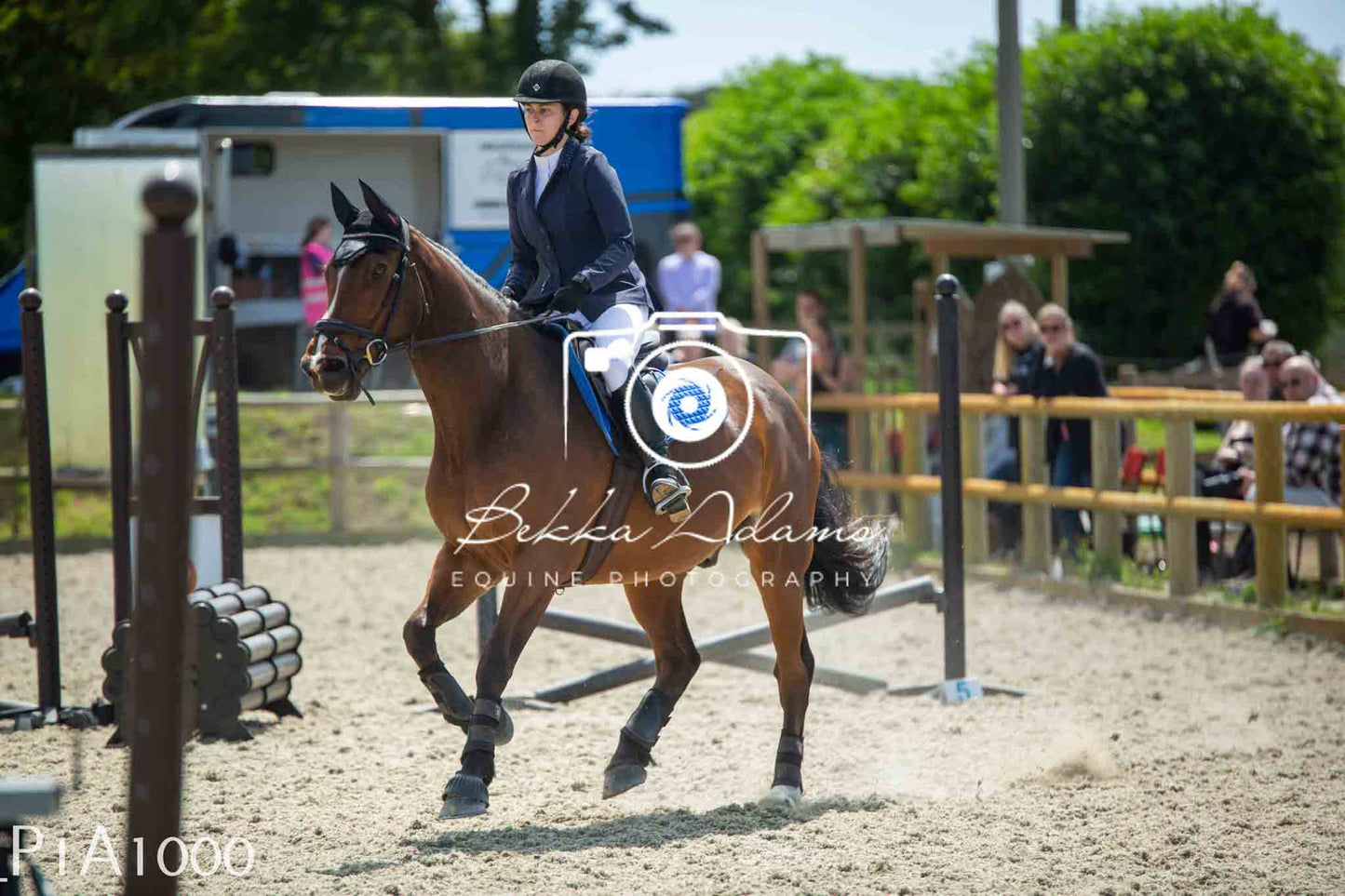 Home Farm Jumping 11th June - Seniors