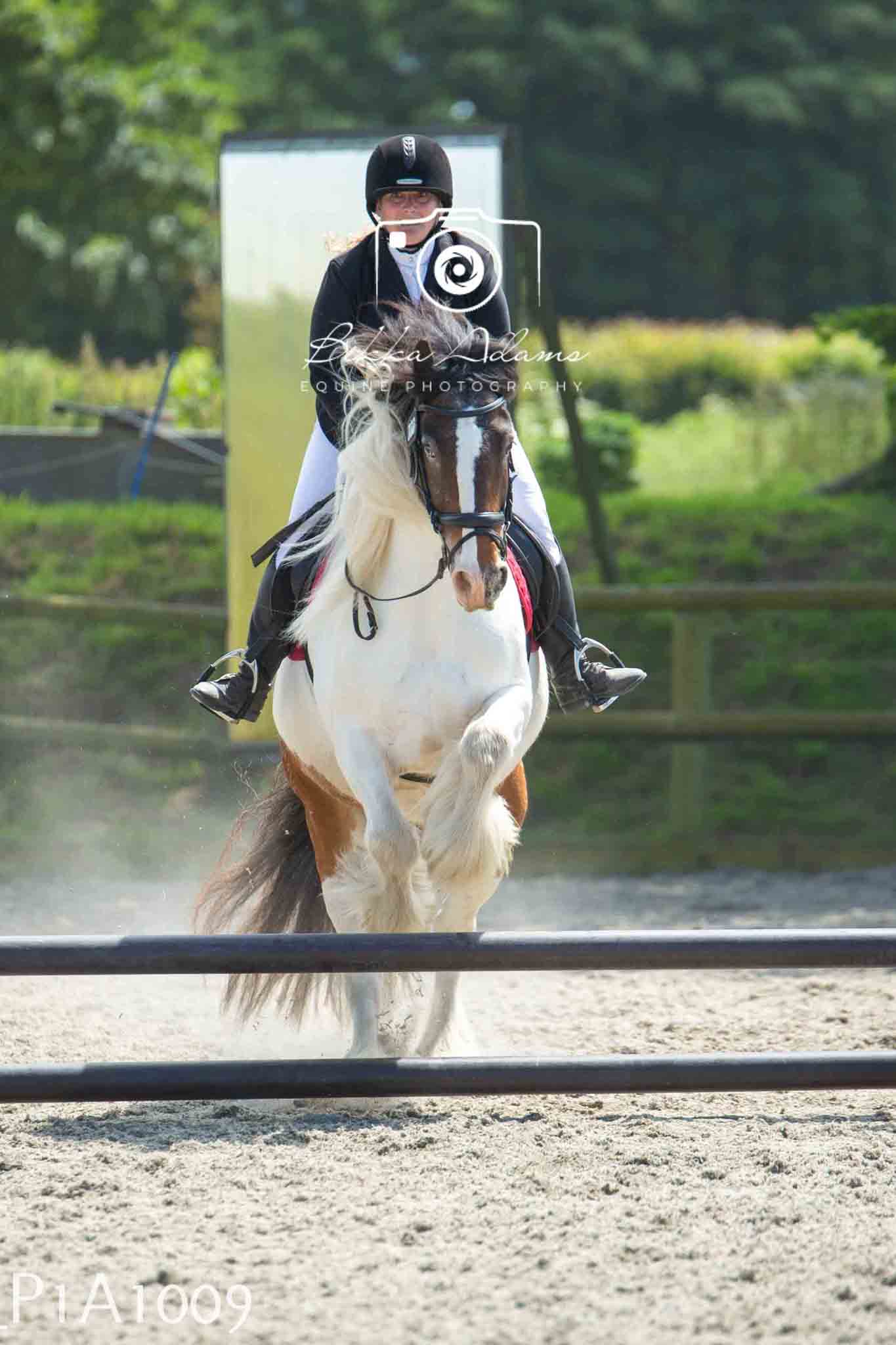 Home Farm Jumping 11th June - Seniors