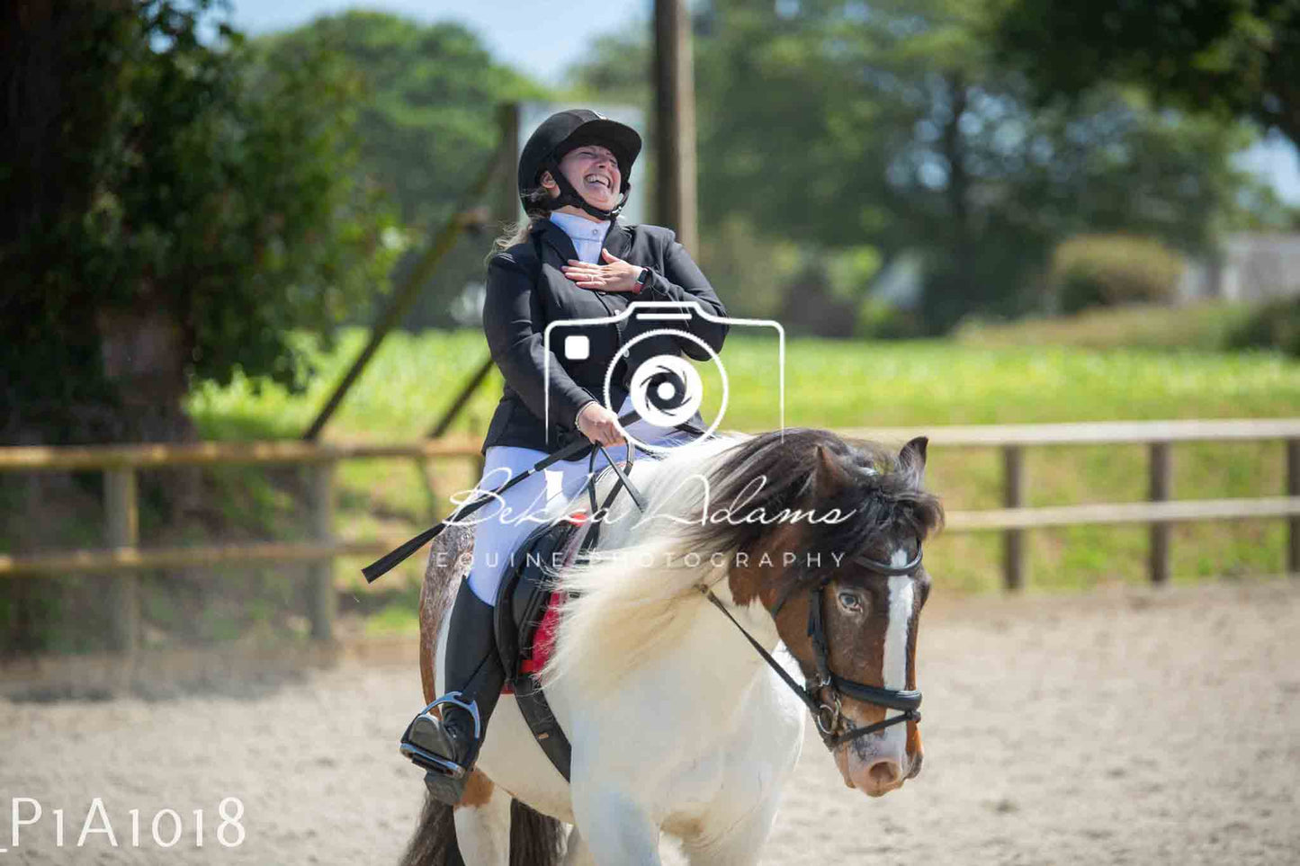Home Farm Jumping 11th June - Seniors