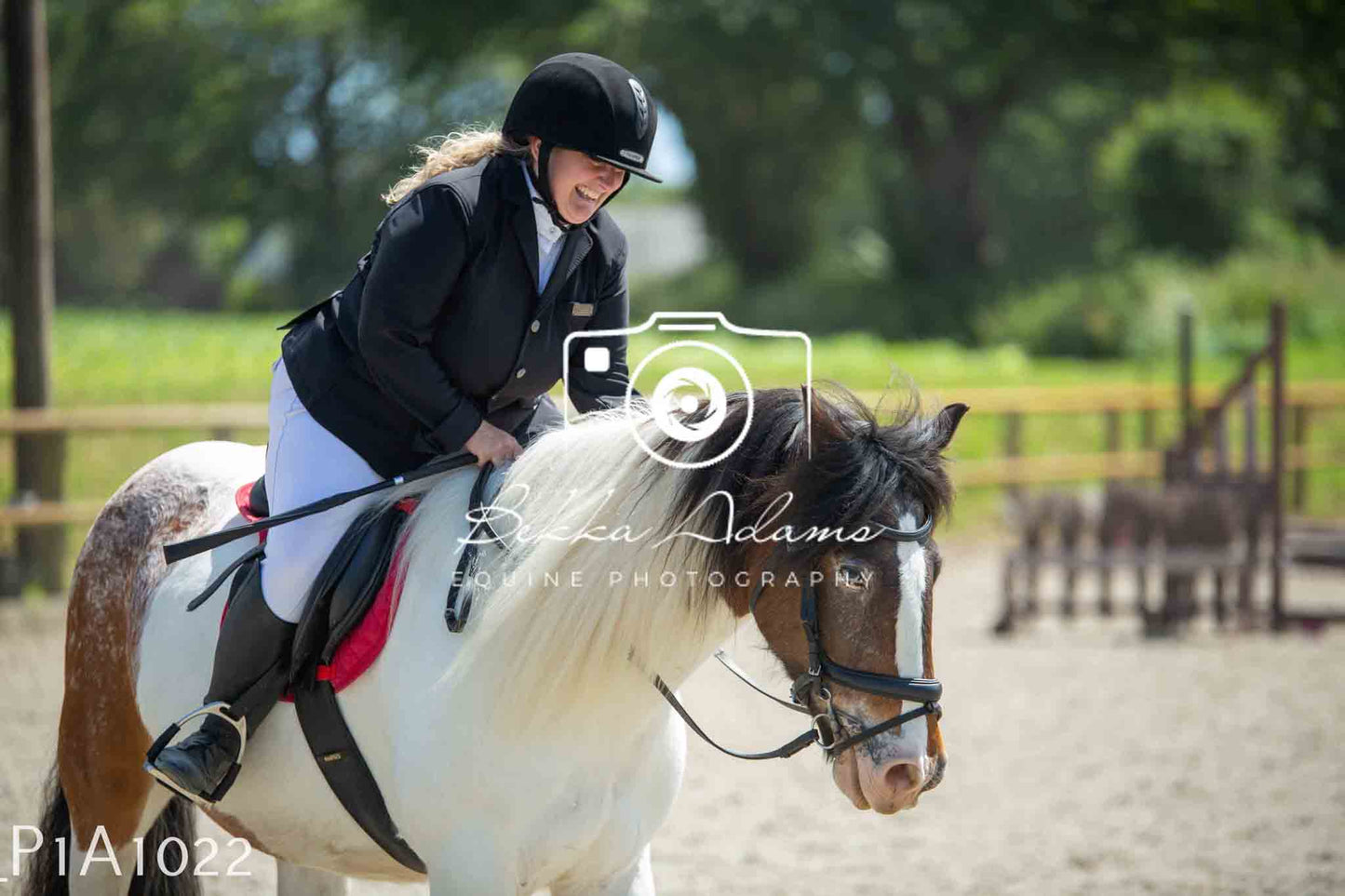 Home Farm Jumping 11th June - Seniors
