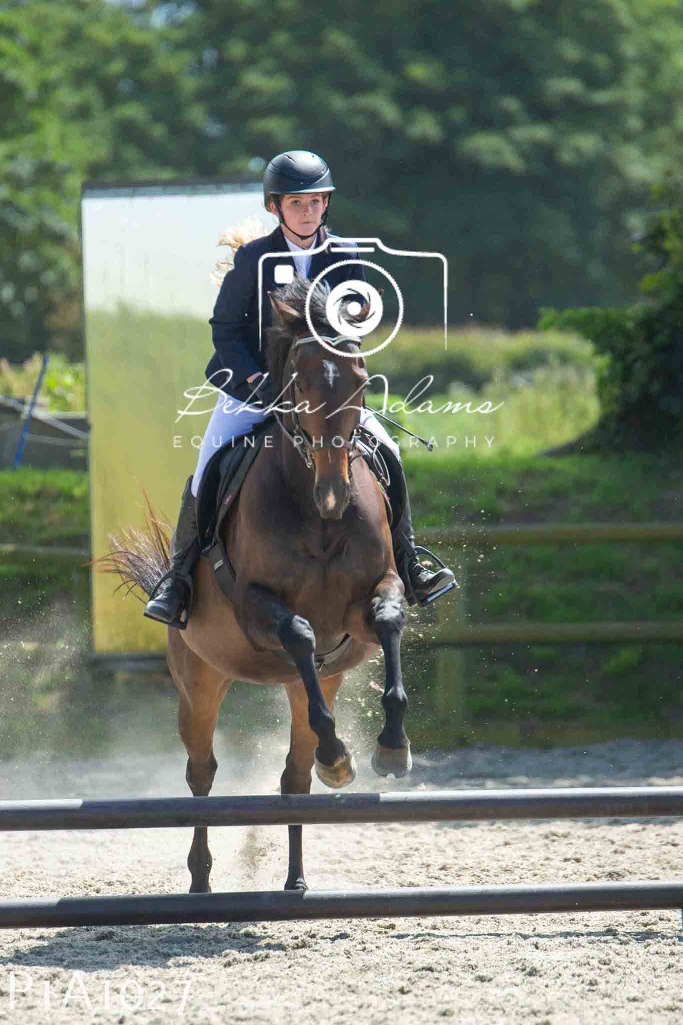 Home Farm Jumping 11th June - Seniors