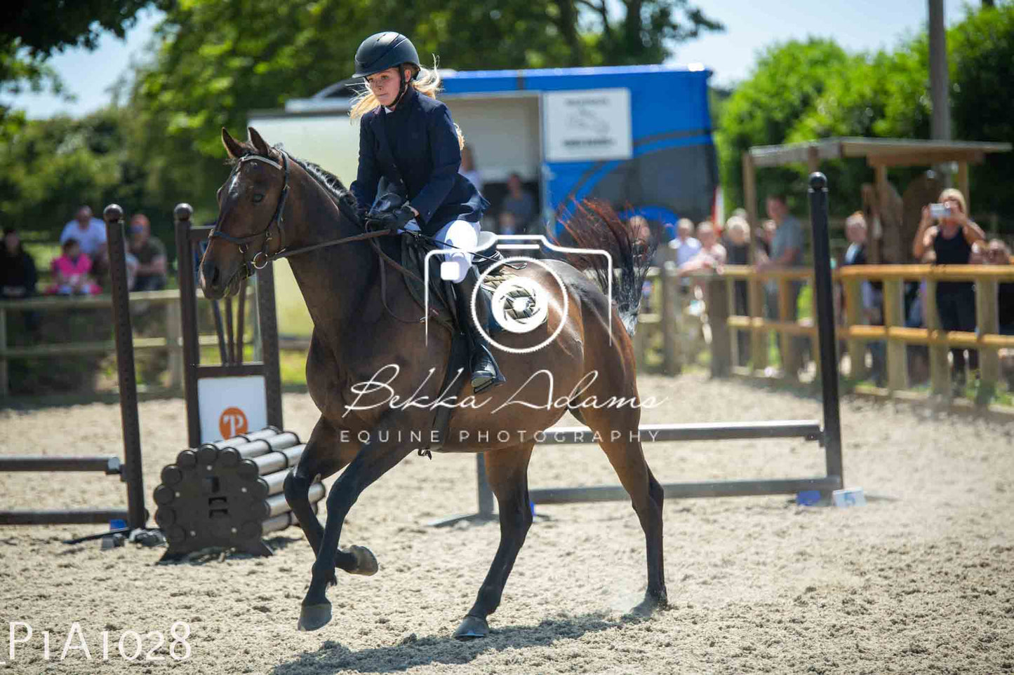 Home Farm Jumping 11th June - Seniors
