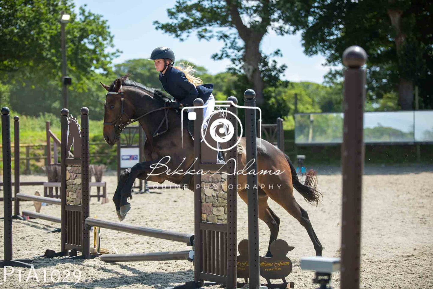 Home Farm Jumping 11th June - Seniors