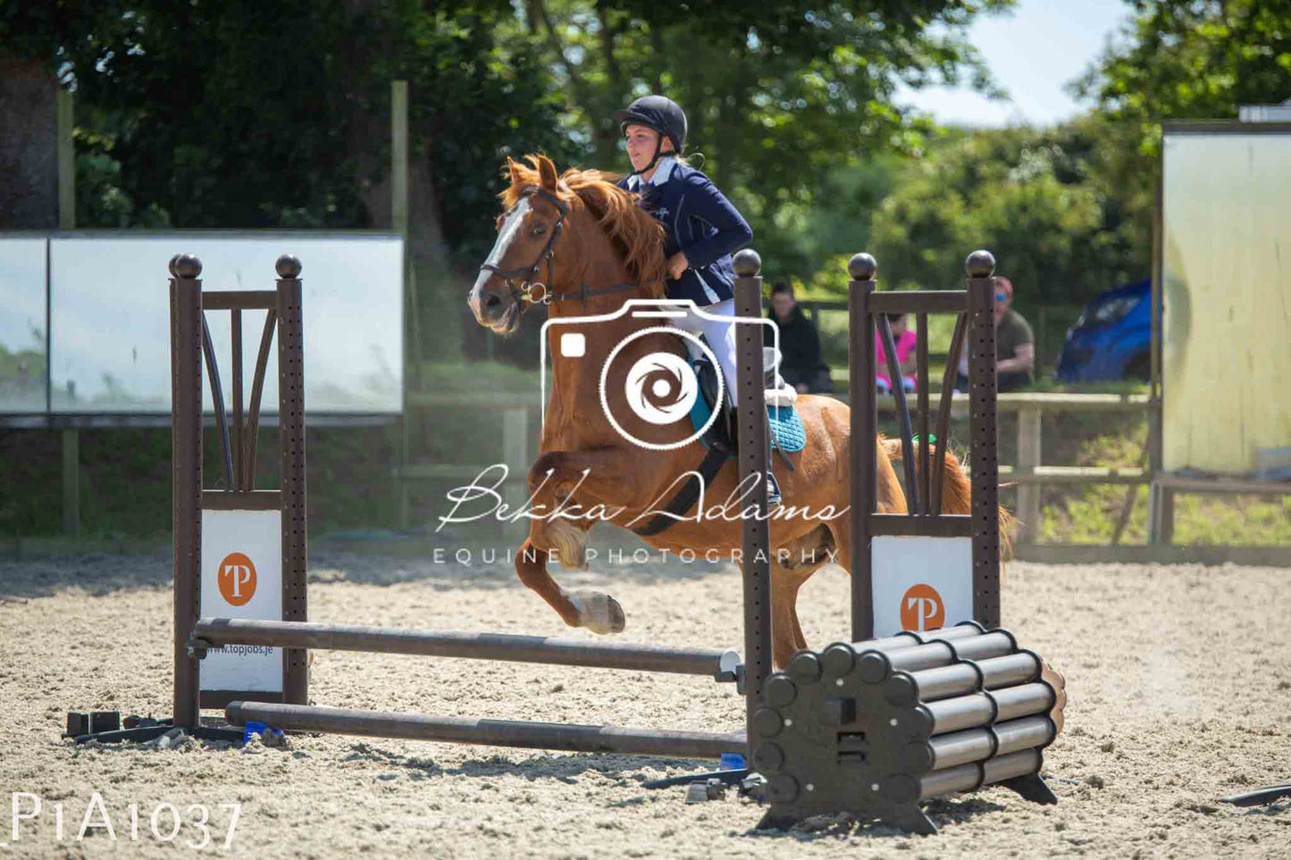 Home Farm Jumping 11th June - Seniors