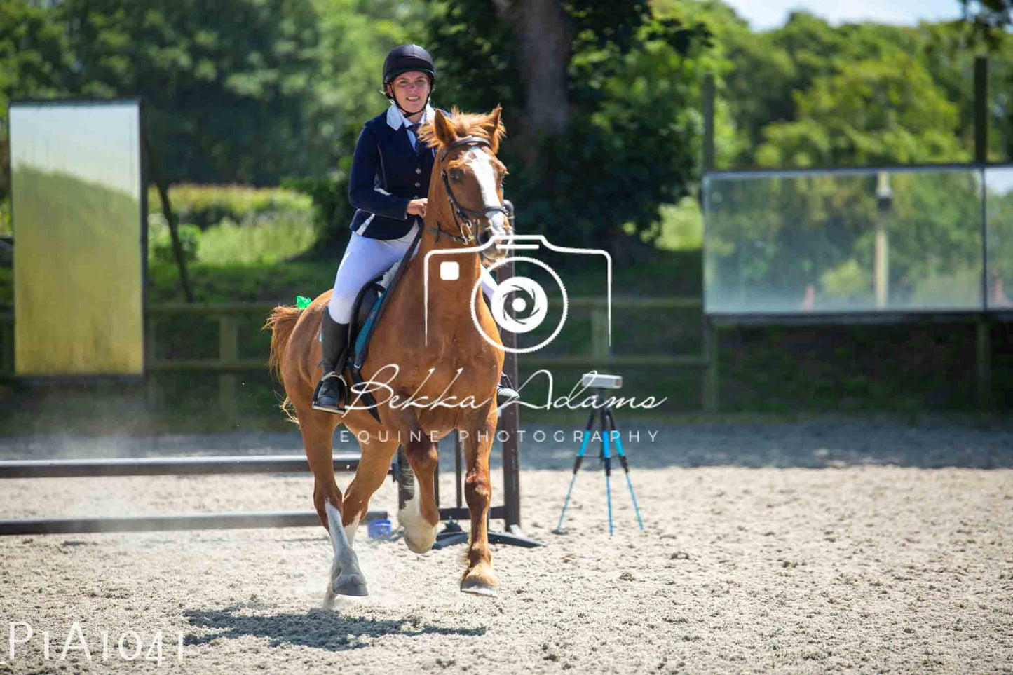 Home Farm Jumping 11th June - Seniors