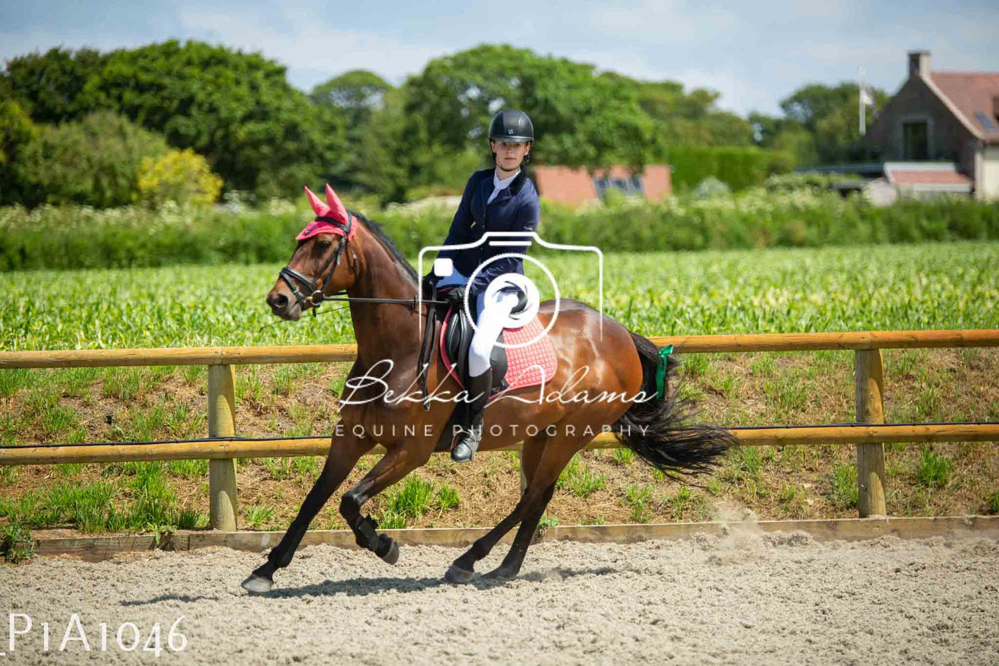 Home Farm Jumping 11th June - Seniors