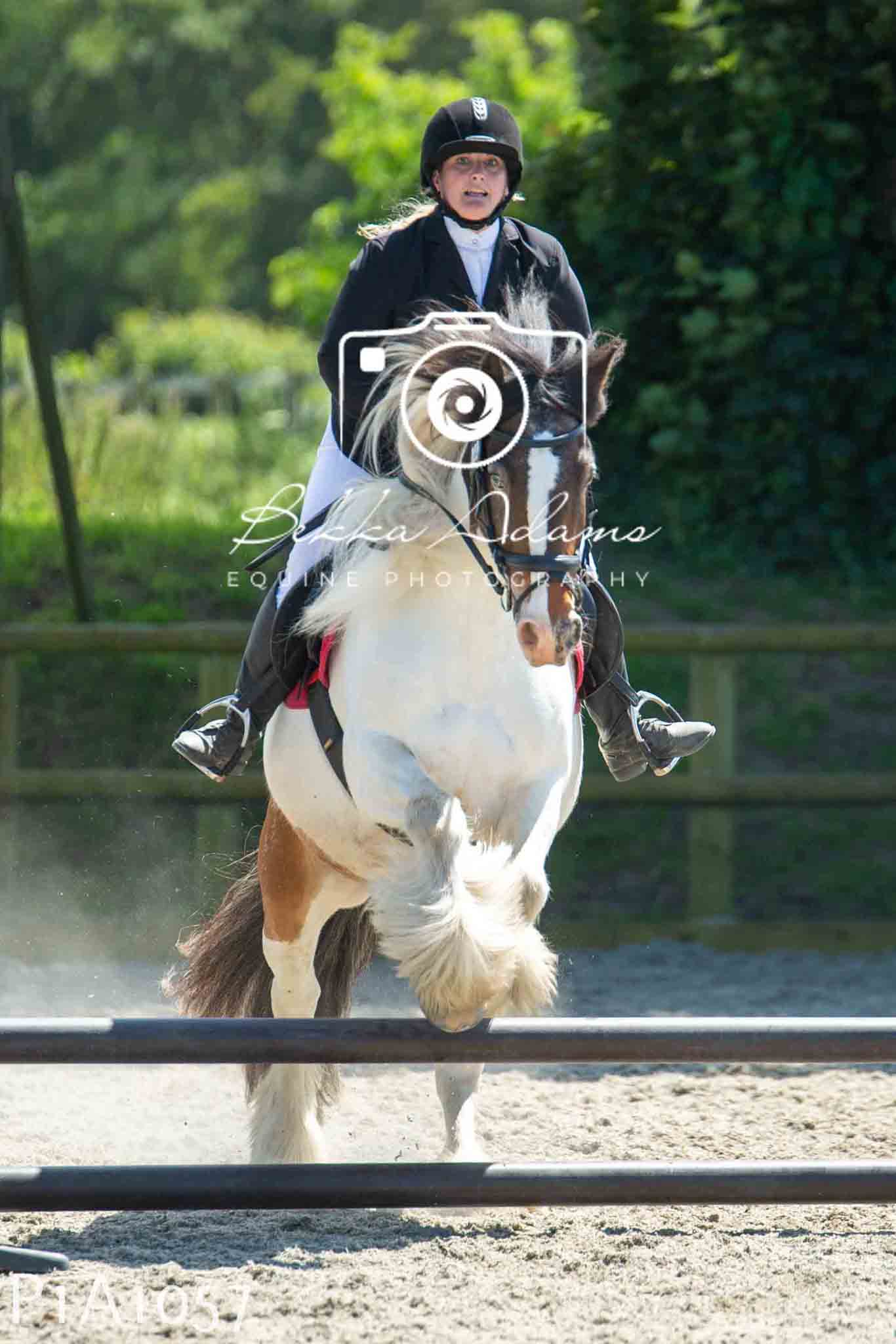 Home Farm Jumping 11th June - Seniors