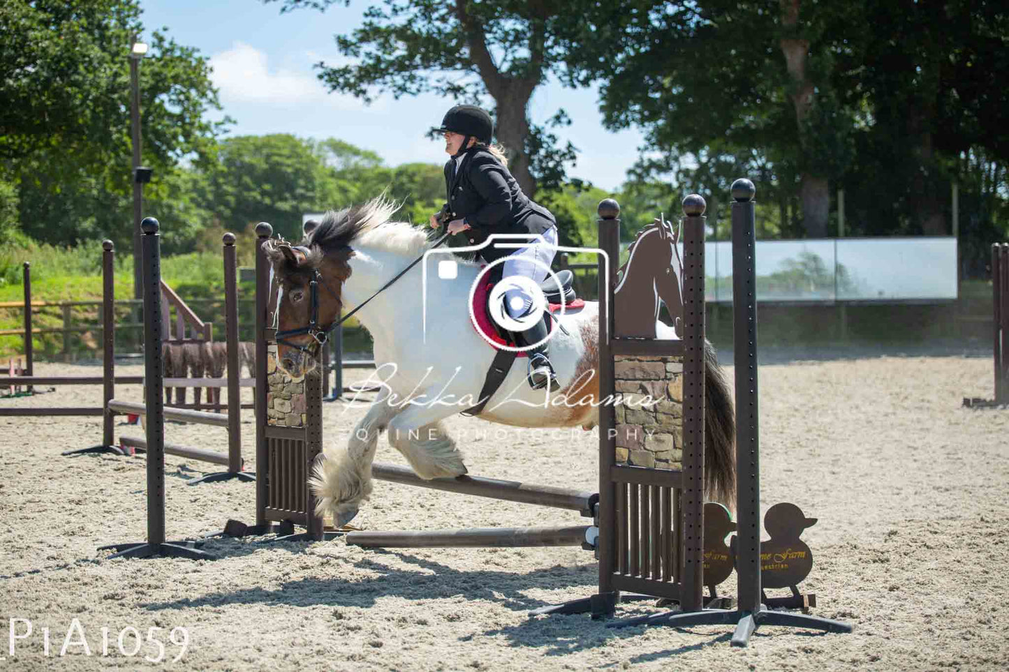 Home Farm Jumping 11th June - Seniors