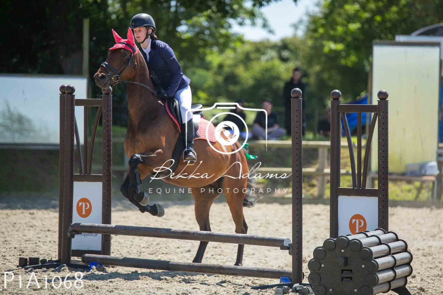 Home Farm Jumping 11th June - Seniors