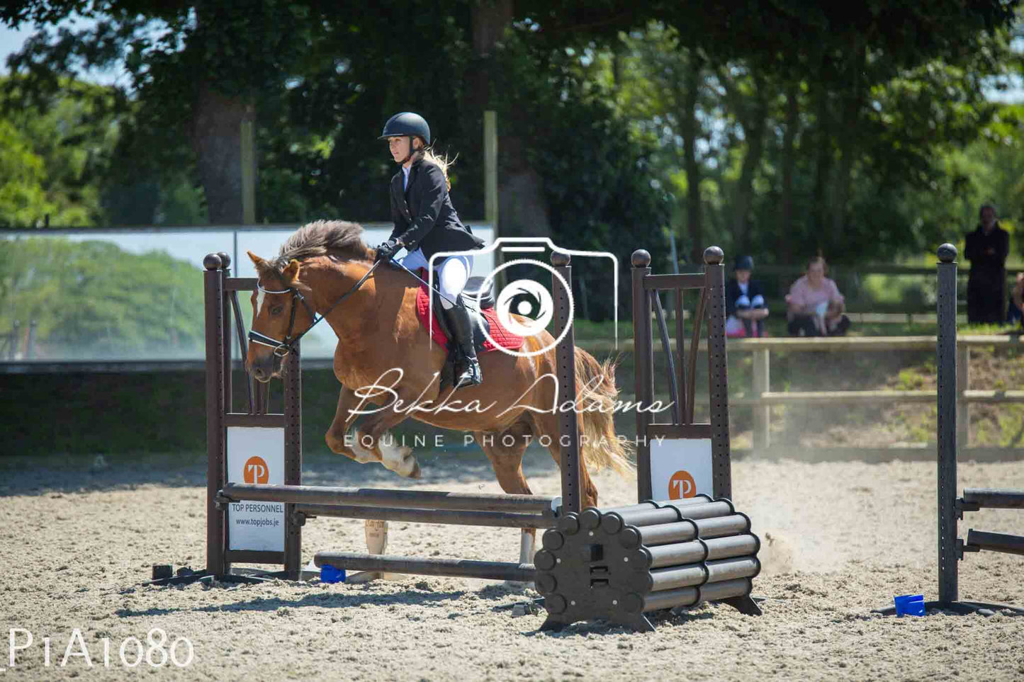 Home Farm Jumping 11th June - Seniors