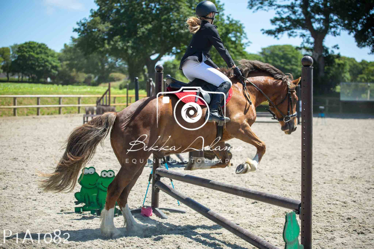 Home Farm Jumping 11th June - Seniors