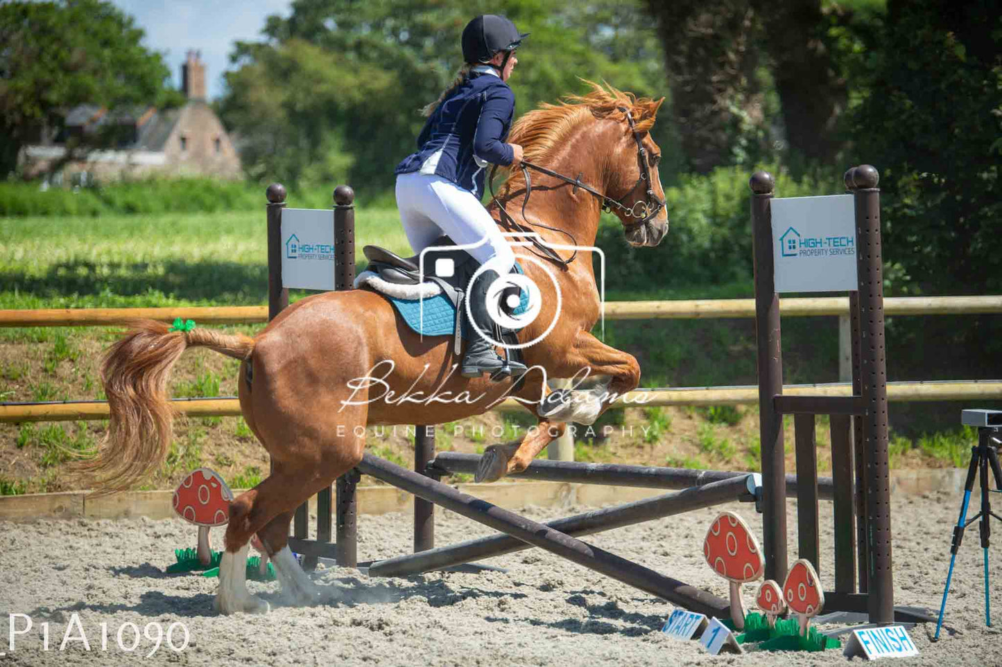 Home Farm Jumping 11th June - Seniors