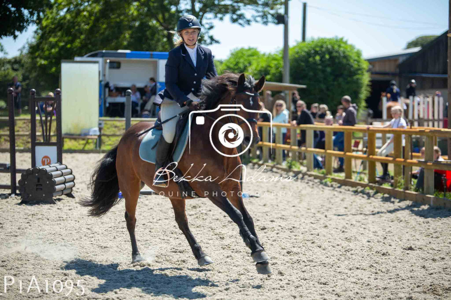 Home Farm Jumping 11th June - Seniors