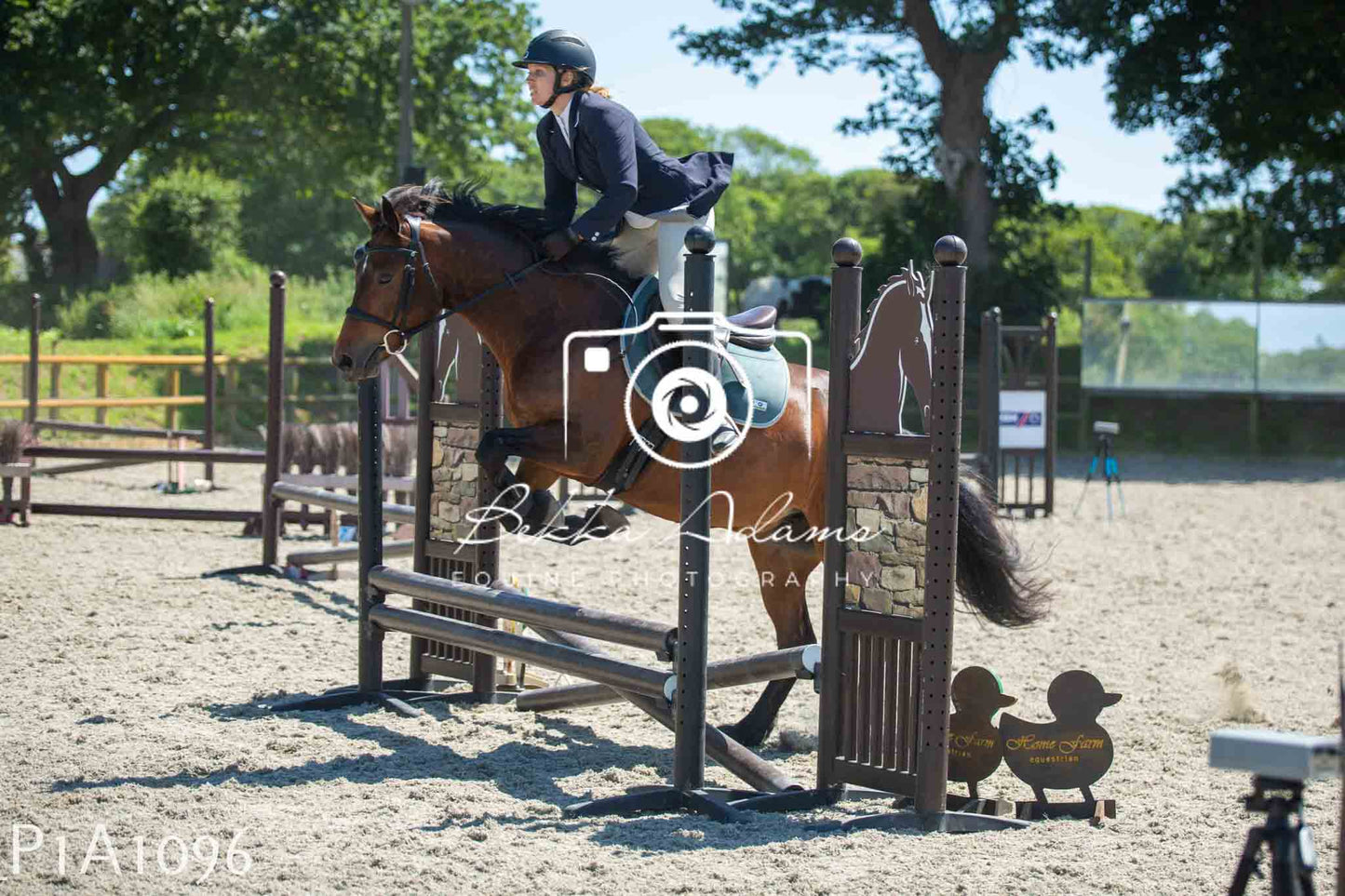 Home Farm Jumping 11th June - Seniors