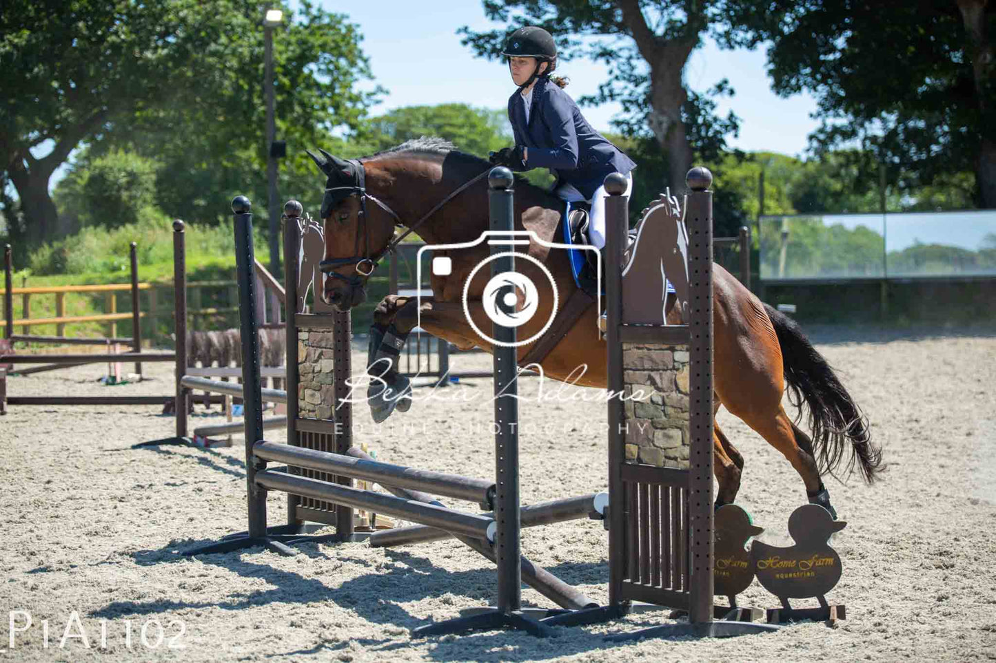 Home Farm Jumping 11th June - Seniors