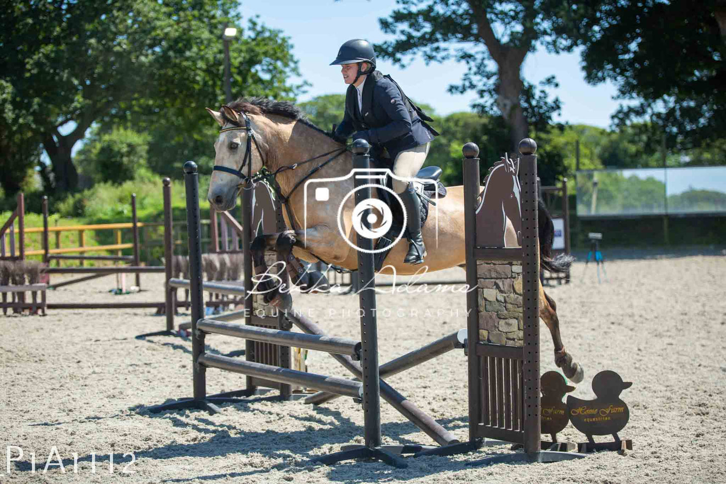 Home Farm Jumping 11th June - Seniors