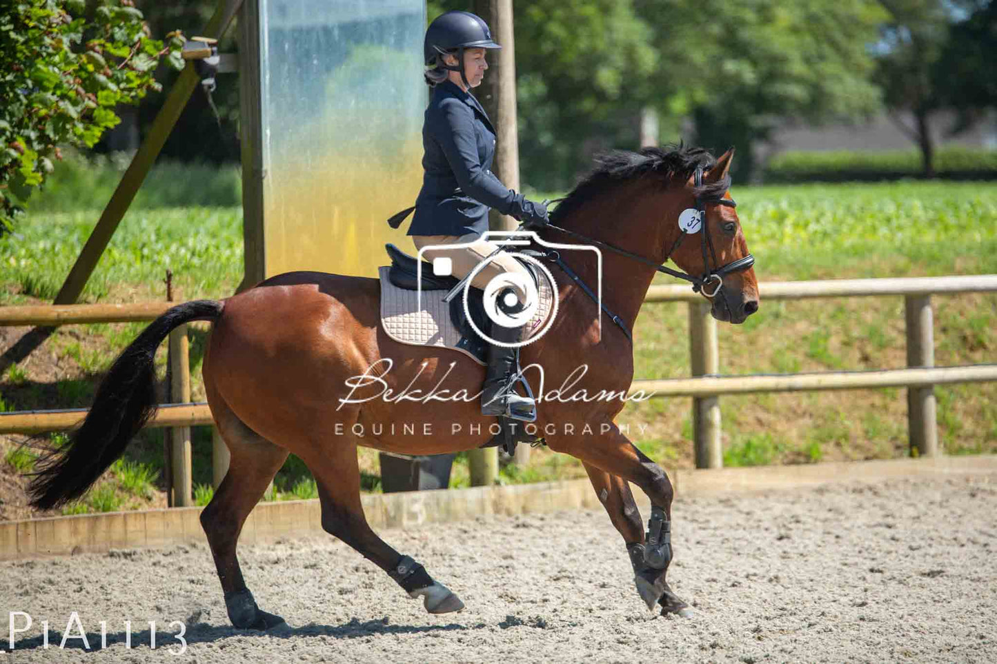 Home Farm Jumping 11th June - Seniors