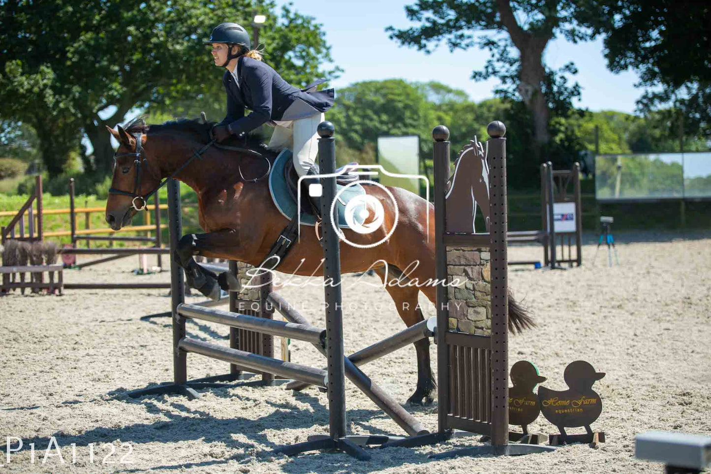 Home Farm Jumping 11th June - Seniors