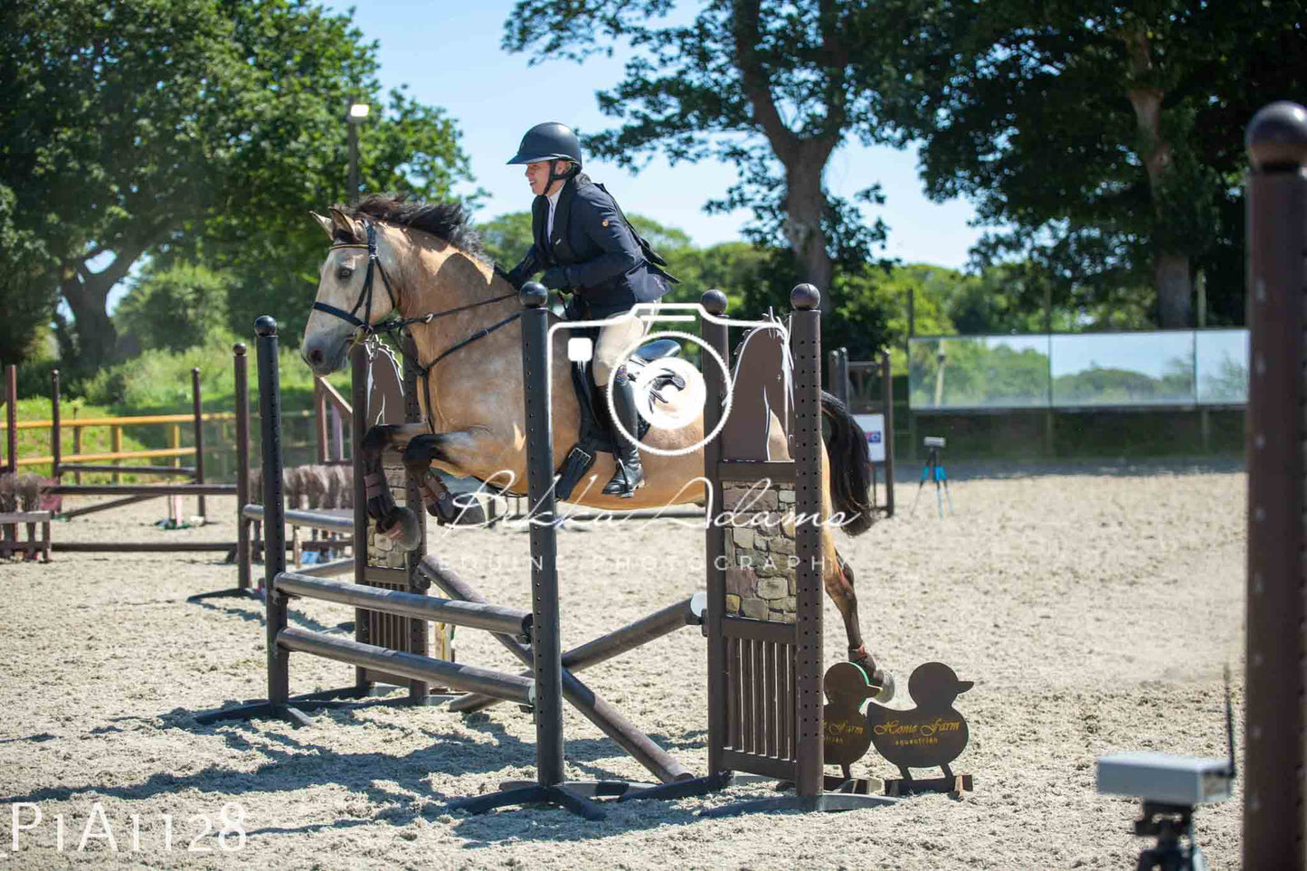 Home Farm Jumping 11th June - Seniors