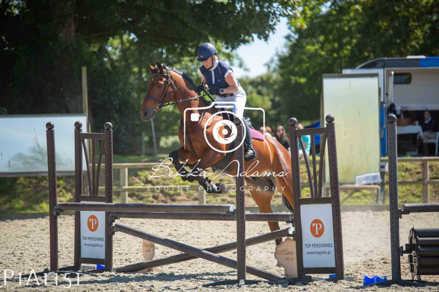 Home Farm Jumping 11th June - Seniors