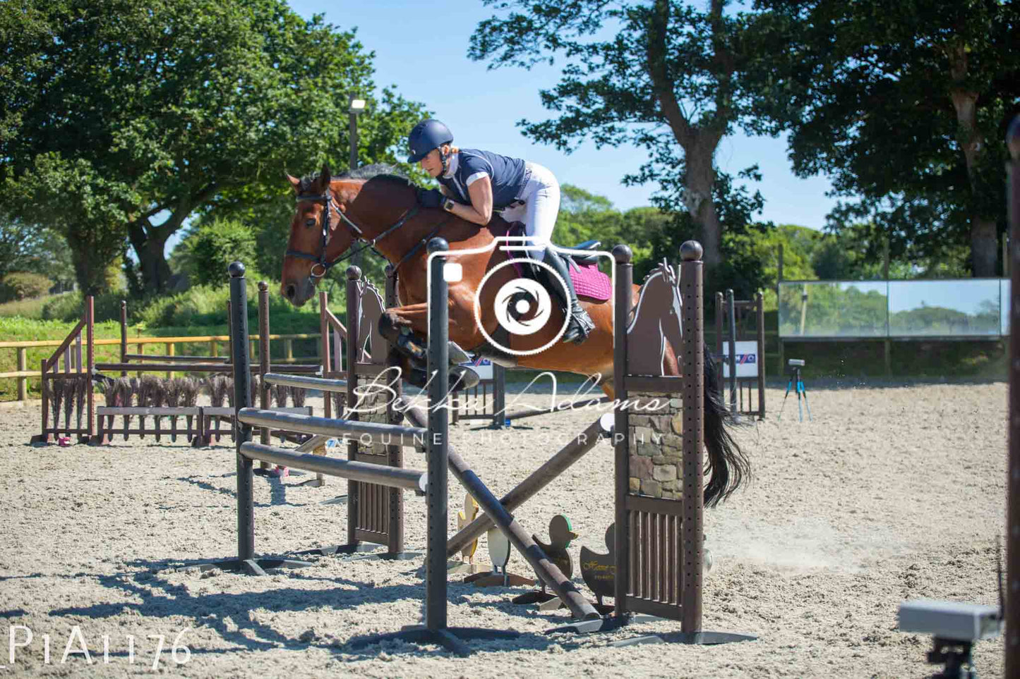 Home Farm Jumping 11th June - Seniors