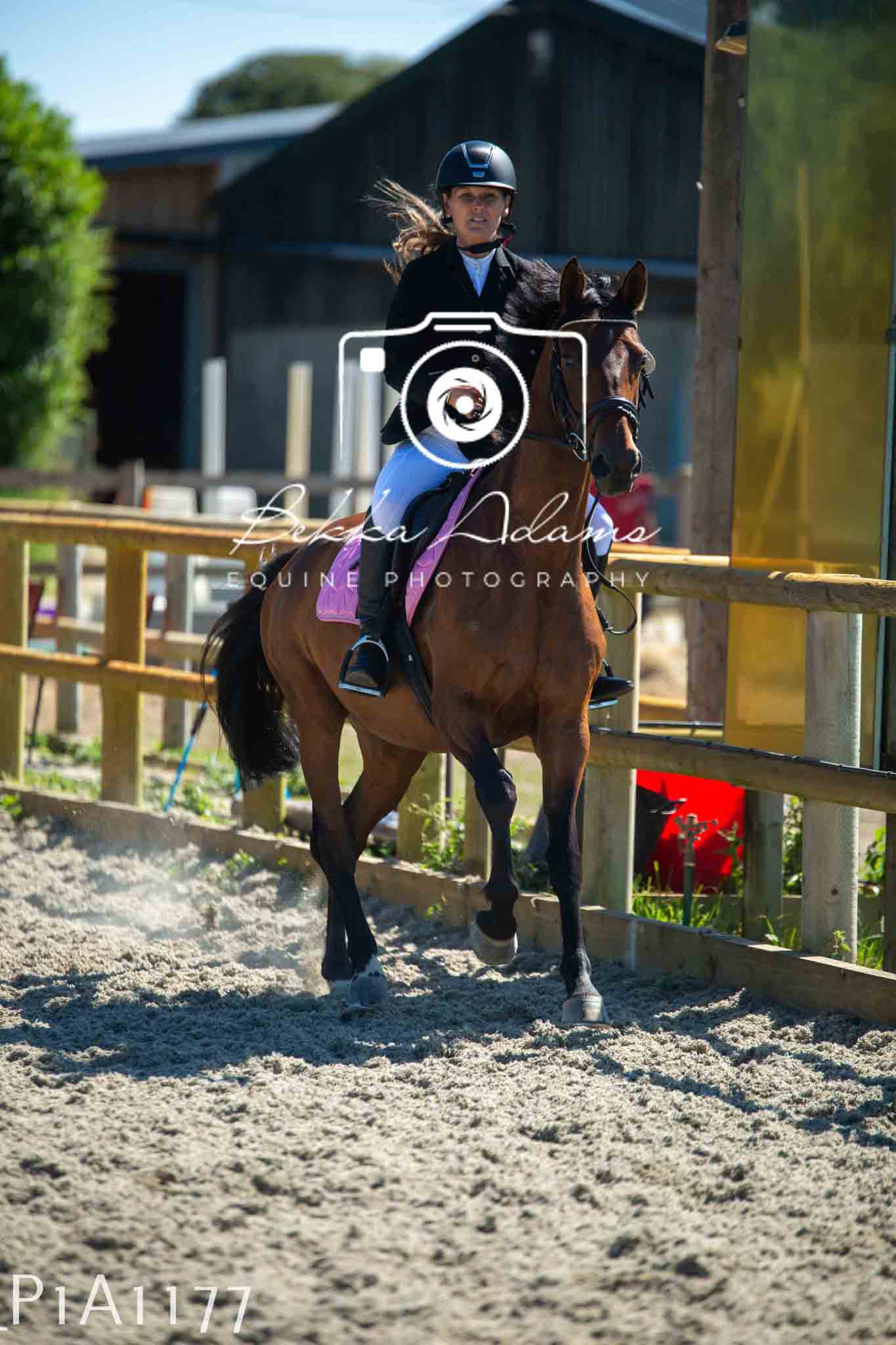 Home Farm Jumping 11th June - Seniors